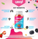 9-in-1-immune-support-gummies-with-elder-4.jpg