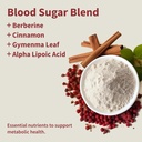 snap-supplements-blood-sugar-blend---180-3.jpg