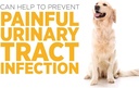 maxxipaws-sam-e-uti-bundle-maxxisame-adv-6.jpg
