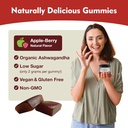 ksm-66-ashwagandha-gummies---600mg-organ-4.jpg