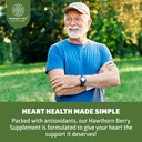 n1n-premium-hawthorn-berry-capsules-max--4.jpg