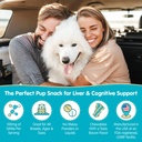 wanderfound-pets-same-100-liver-support--6.jpg