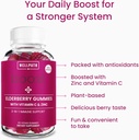 wellpath-boost-elderberry-gummies-with-z-4.jpg