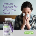 viteey-sambucus-elderberry-gummies-for-a-6.jpg