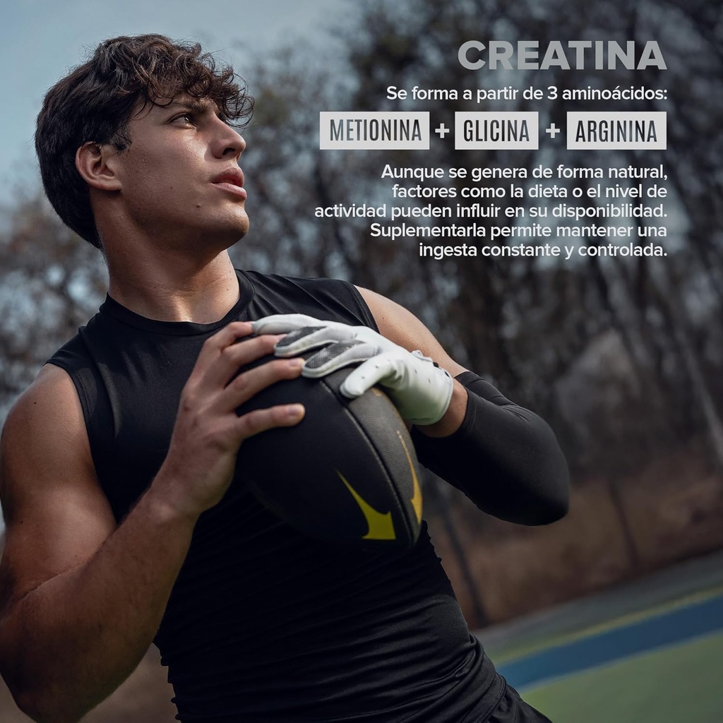 birdman-micronized-creatine-monohydrate--6.jpg