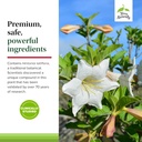 terry-naturally-sucontral-d---b-complex--5.jpg