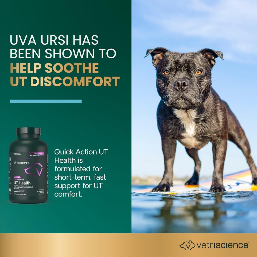 vetriscience-quick-action-ut-health-chew-3.jpg