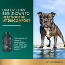 vetriscience-quick-action-ut-health-chew-3.jpg