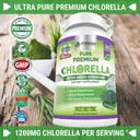 fresh-healthcare-chlorella-and-immune-su-2.jpg