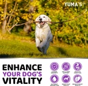 2-pack-dog-multivitamin-chewable-with-gl-4.jpg