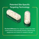 ibgard-gut-health-supplement-peppermint--4.jpg