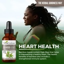 bamboo-extract-for-hair-growth---70-natu-3.jpg