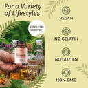 herbamama-sarsaparilla-root-capsules---1-5.jpg