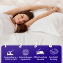 melatonin-gummies-5mg---natural-sleep-ai-5.jpg