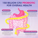 akkermansia-probiotic-supplement-for-wom-2.jpg