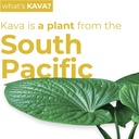 leilo-kava-powered-pina-colada-mocktail--3.jpg