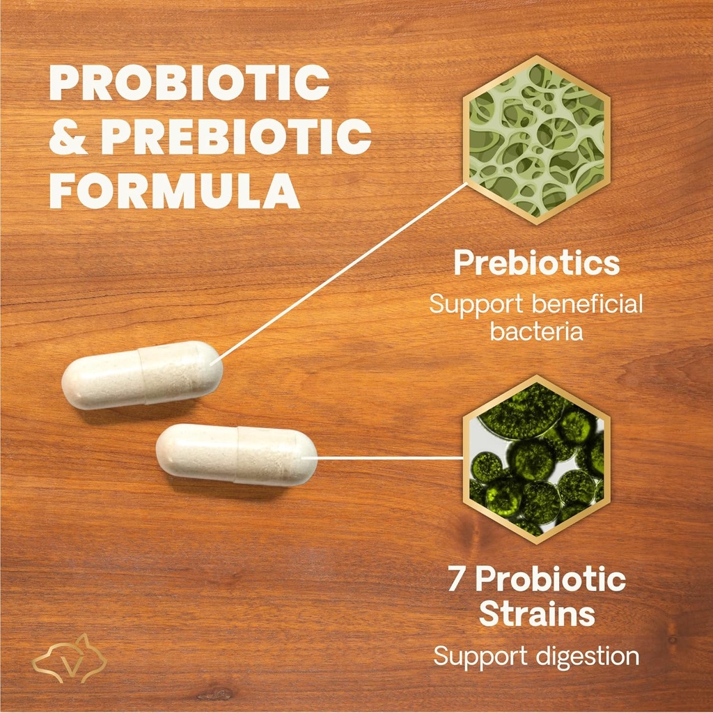 vetriscience-extra-strength-gut-health-p-3.jpg
