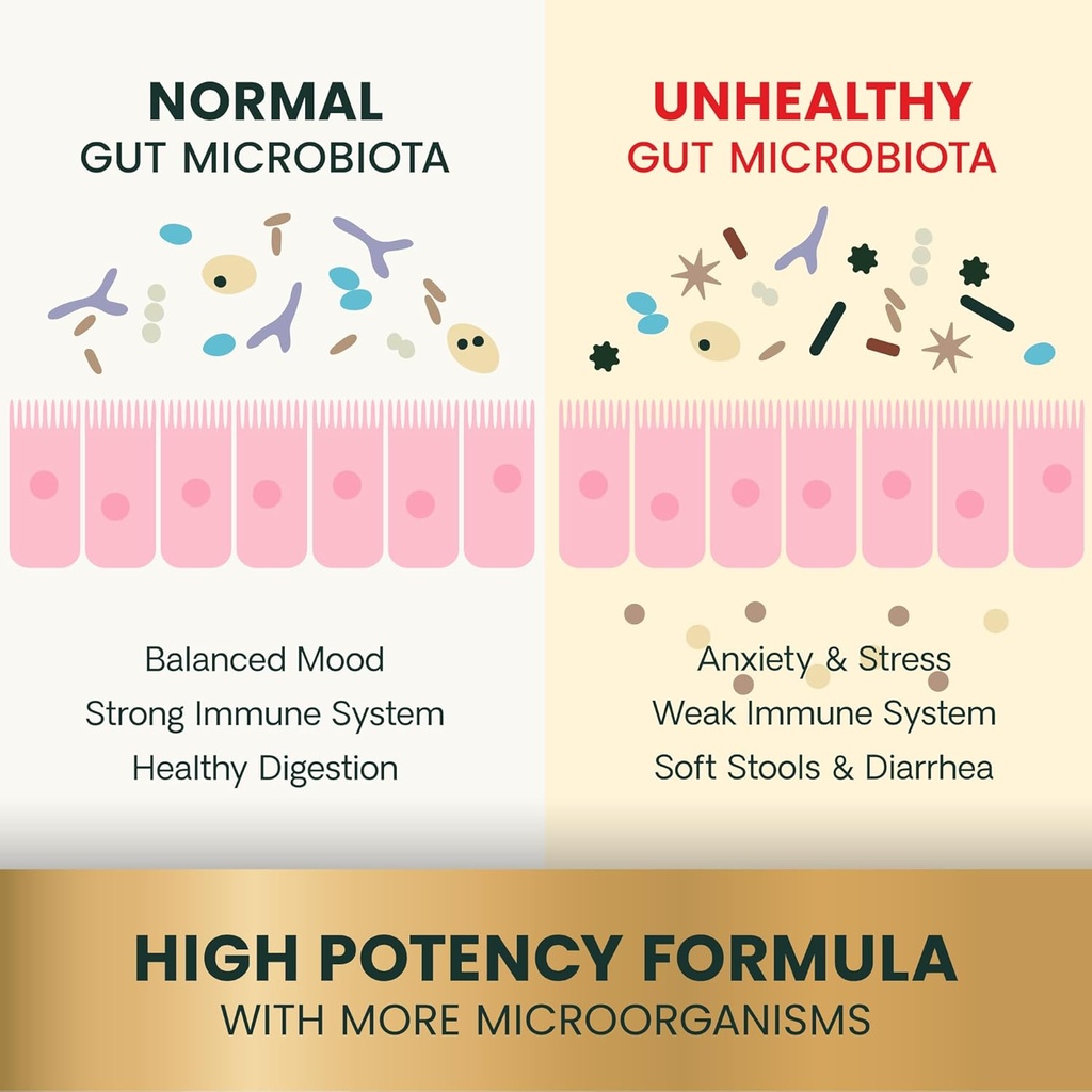 vetriscience-extra-strength-gut-health-p-4.jpg