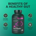 vetriscience-extra-strength-gut-health-p-5.jpg