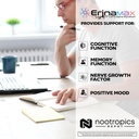 nootropics-depot-erinamax-lions-mane-500-4.jpg