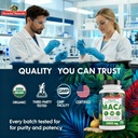 organic-maca-root-capsules-for-women-men-4.jpg