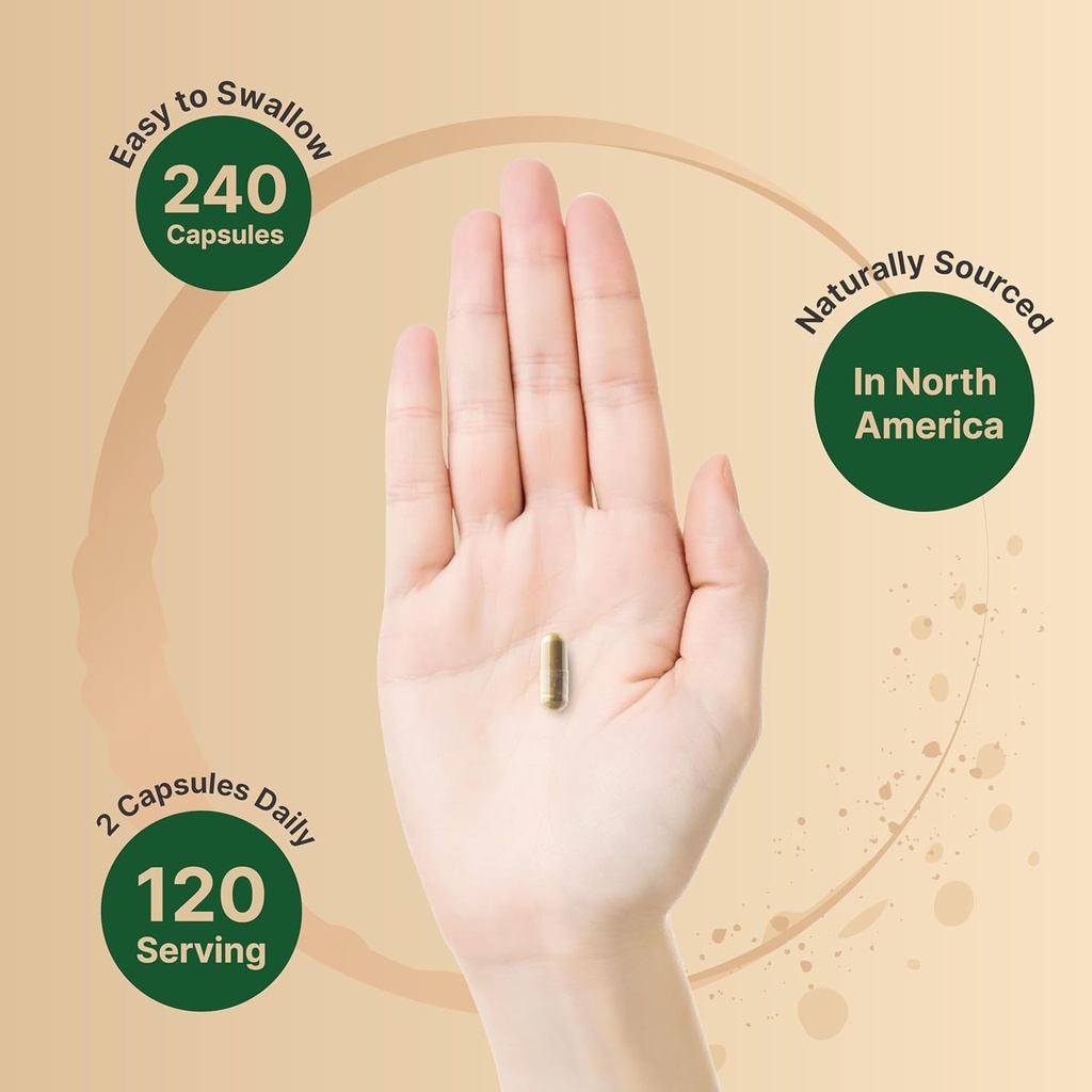 naturebell-st-johns-wort-9000mg-per-serv-4.jpg