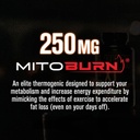 jacked-factory-burn-xt-clinically-studie-5.jpg