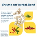 researched-nutritionals-biodisrupt---dis-3.jpg