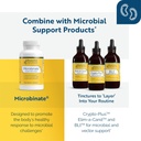 researched-nutritionals-biodisrupt---dis-4.jpg