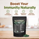 go-nutra-organic-chlorella-tablets-broke-2.jpg