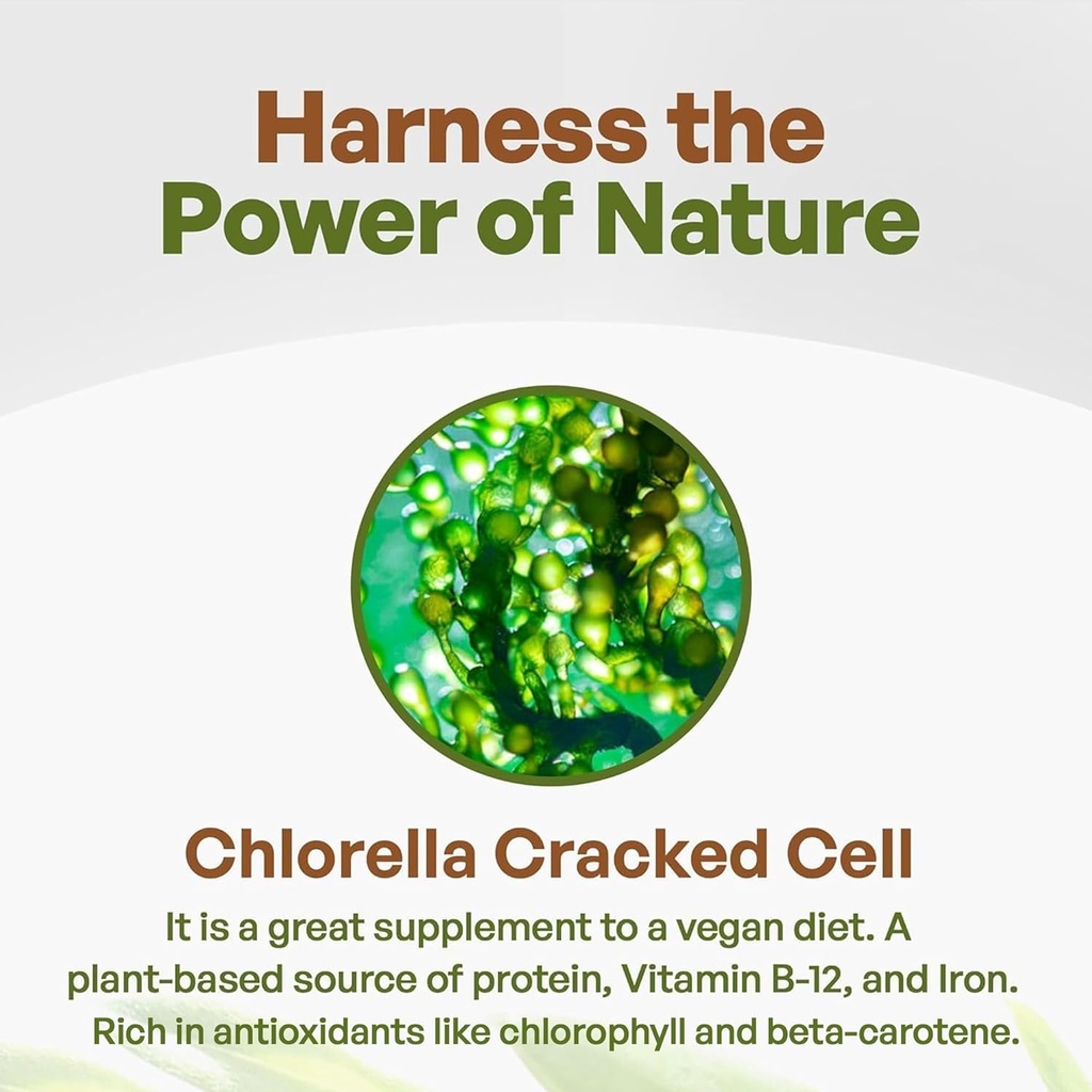 go-nutra-organic-chlorella-tablets-broke-3.jpg