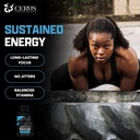 cerus-performance-focus-nootropic-supple-5.jpg