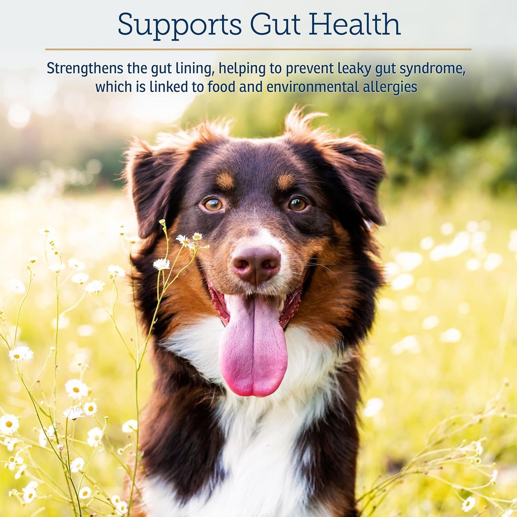 rx-vitamins-colostrum-for-dogs-cats---wh-5.jpg