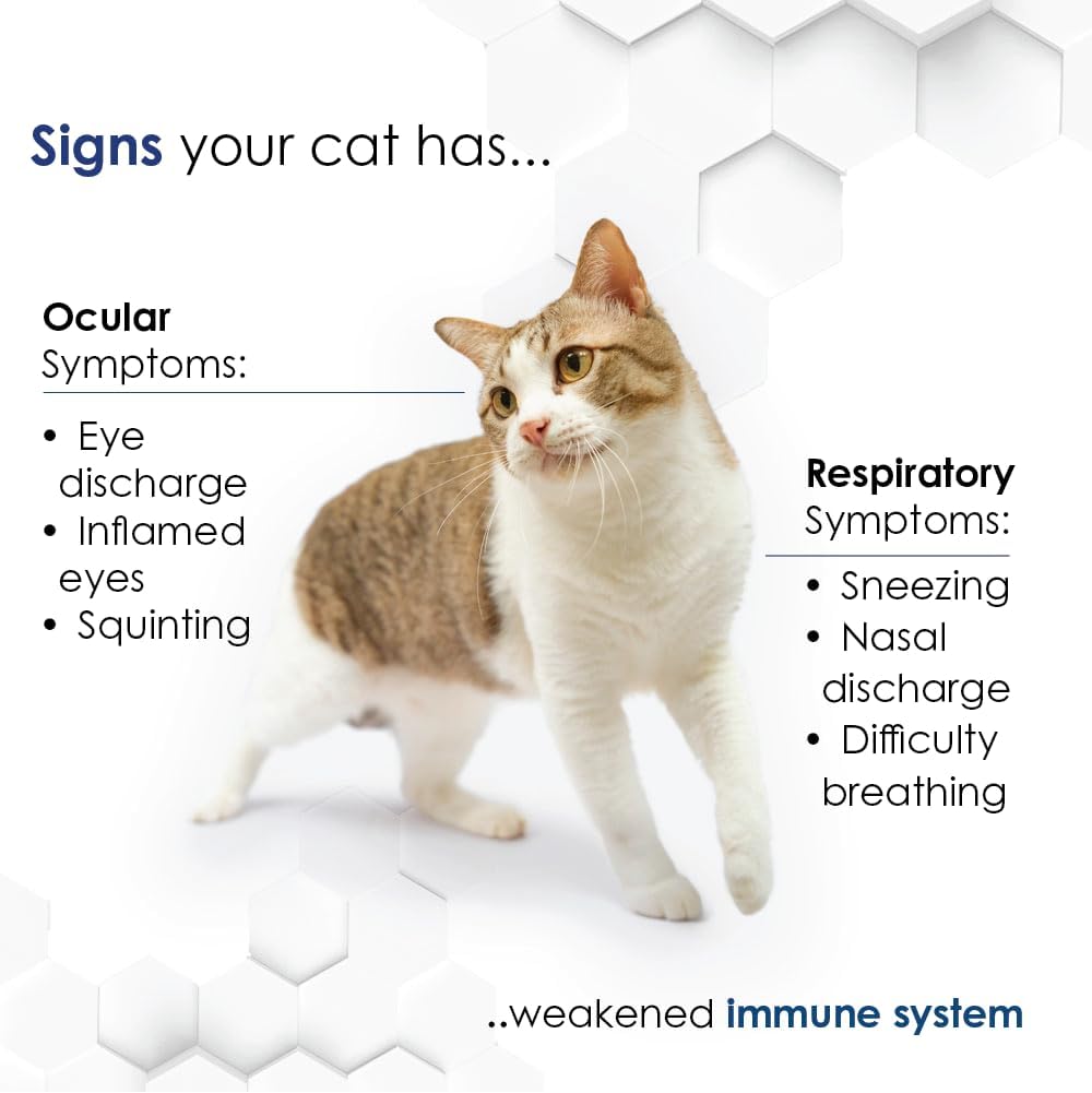 felisyl-immune-system-supportl-lysine-gr-6.jpg