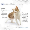 felisyl-immune-system-supportl-lysine-gr-6.jpg