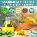neviss-2-pack-organic-hemp-balm-10000-mg-4.jpg