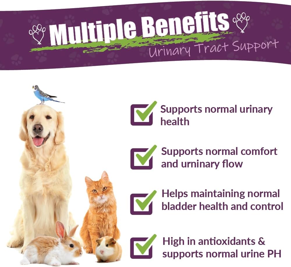 amber-naturalz-utr-urinary-tract-herbal--2.jpg