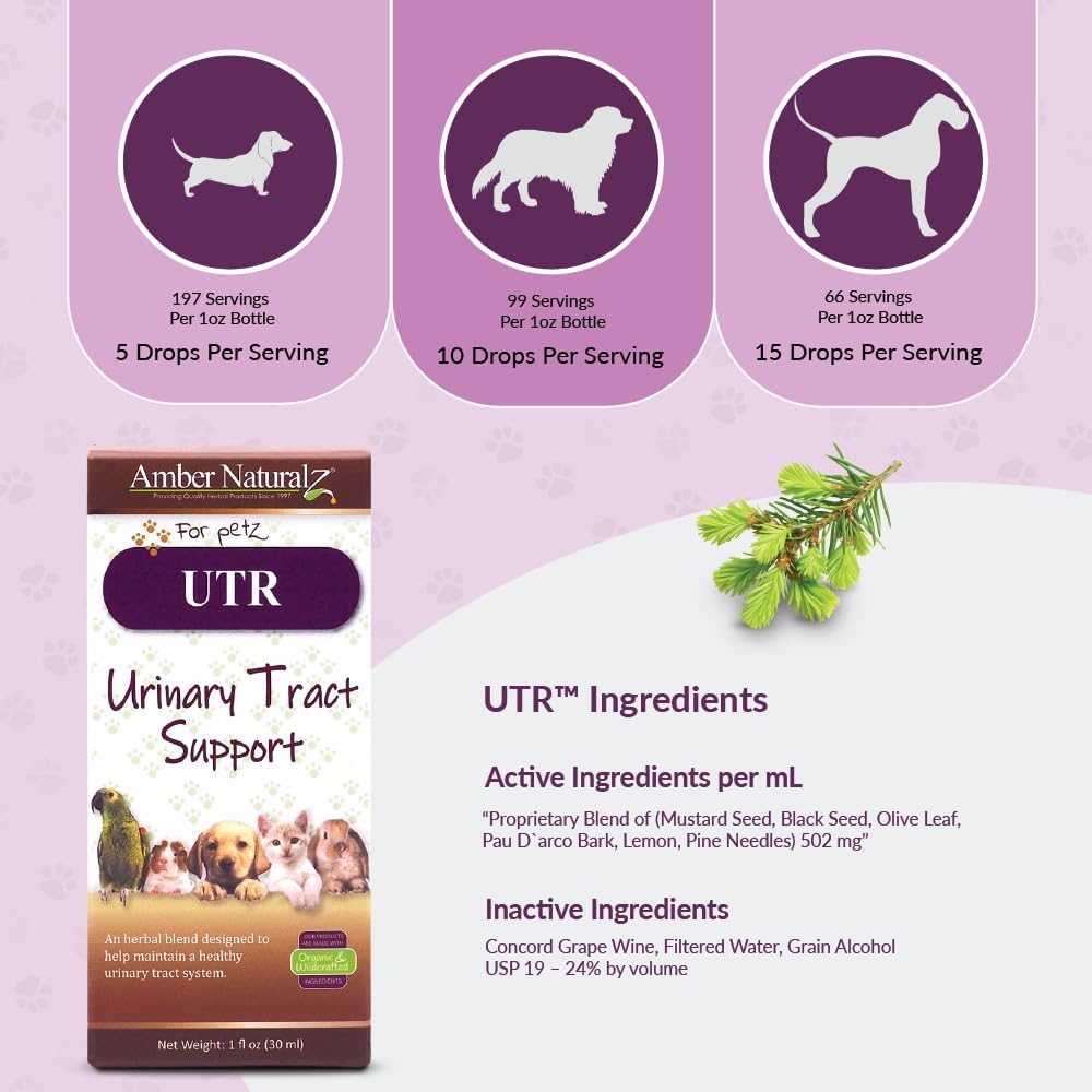 amber-naturalz-utr-urinary-tract-herbal--4.jpg