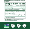 megafood-superfood-mushroom-energy-suppo-2.jpg