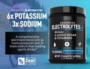 zeal-naturals-electrolyte-powder-recover-5.jpg
