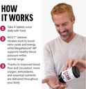 force-factor-total-beets-blood-pressure--4.jpg