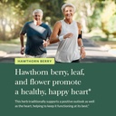 gaia-herbs-hawthorn-supreme---hawthorn-b-5.jpg
