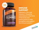 zeal-sambucus-elderberry-gummies-zinc-vi-2.jpg