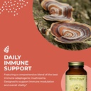 healthforce-superfoods-mycoforce---capsu-4.jpg