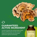 healthforce-superfoods-mycoforce---capsu-6.jpg
