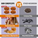 cordyceps-2000mg-gummies-mushrooms-herba-5.jpg
