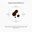 cymbiotika-liposomal-mushroom-supplement-6.jpg