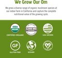 om-mushroom-superfood-matcha-latte-blend-4.jpg