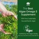 bundle-vegan-omega-3-supplement-gummies--3.jpg