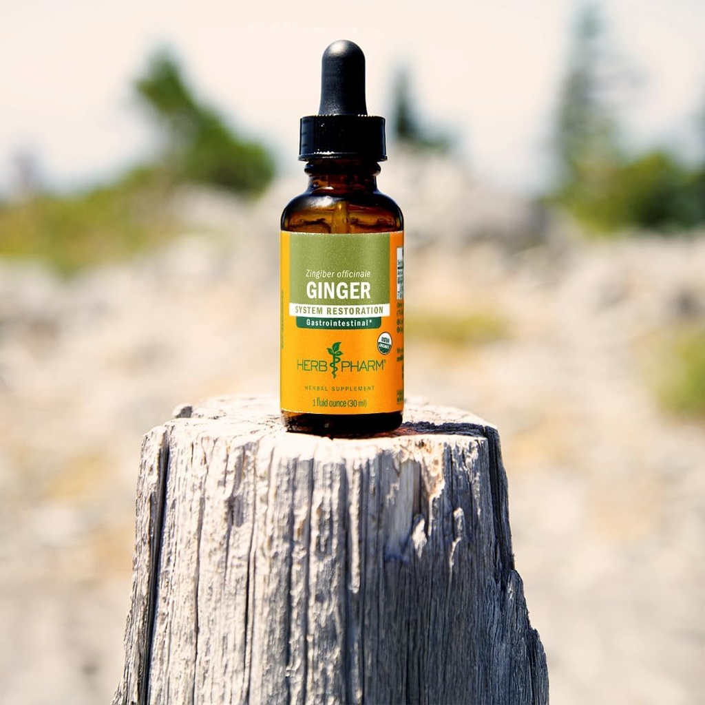 usda-organic-ginger-root-extract-digesti-4.jpg